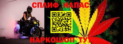 трава Пугачёв
