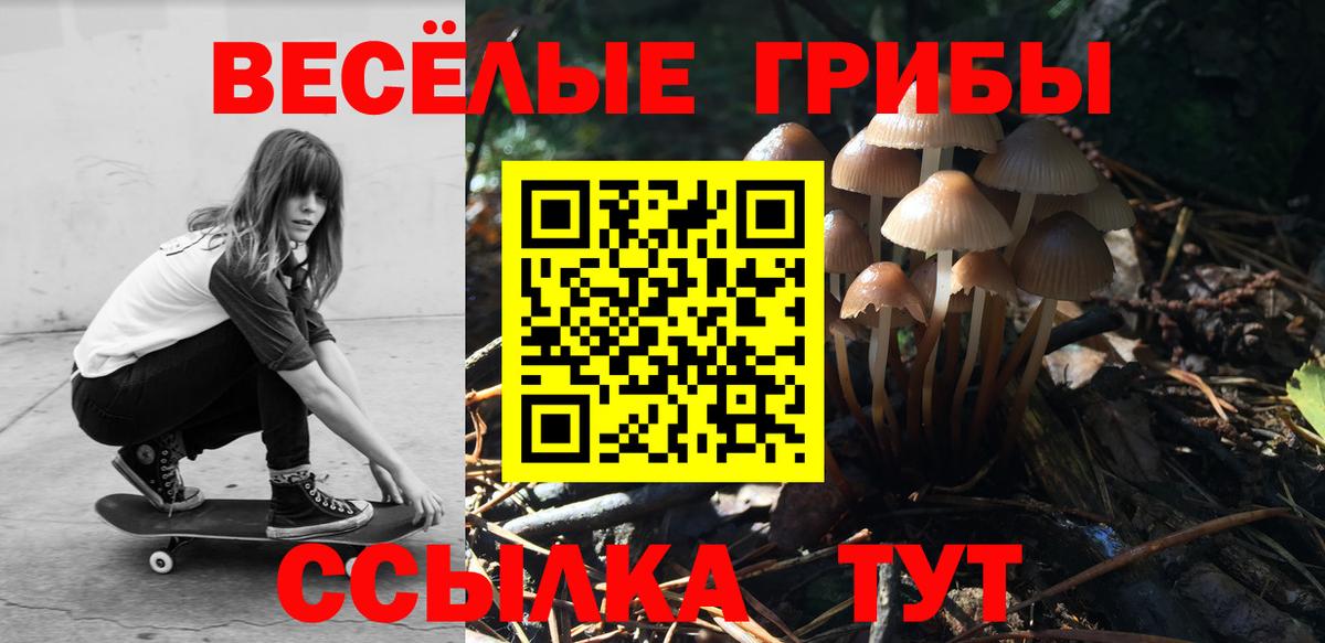 Псилоцибиновые грибы Psilocybine cubensis Междуреченск