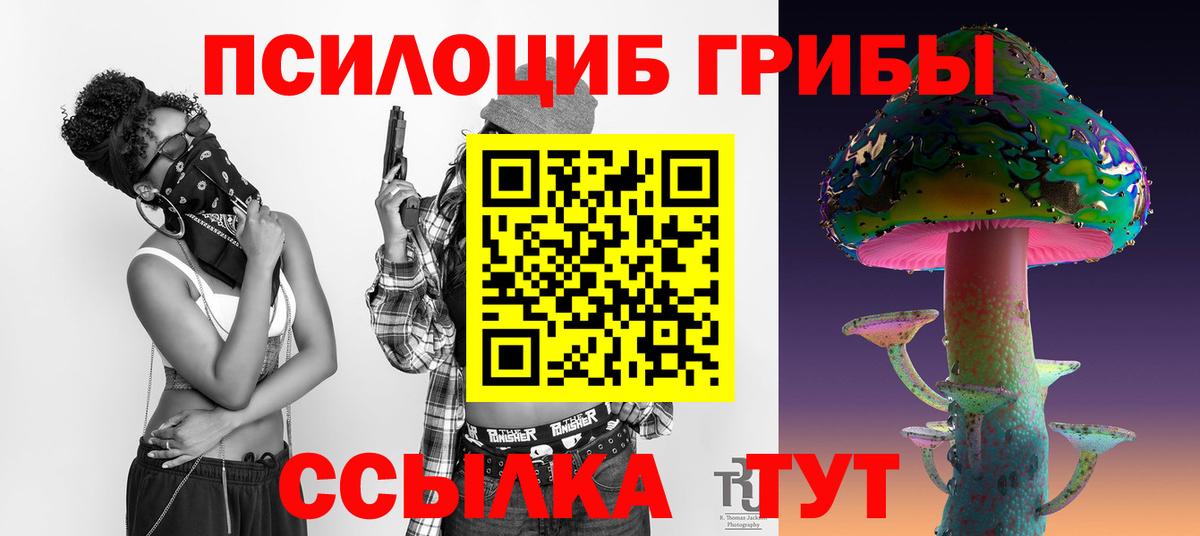 наркошоп  Галлюциногенные грибы мицелий  Междуреченск  Вход с VPN  Галлюциногенные грибы Psilocybe 